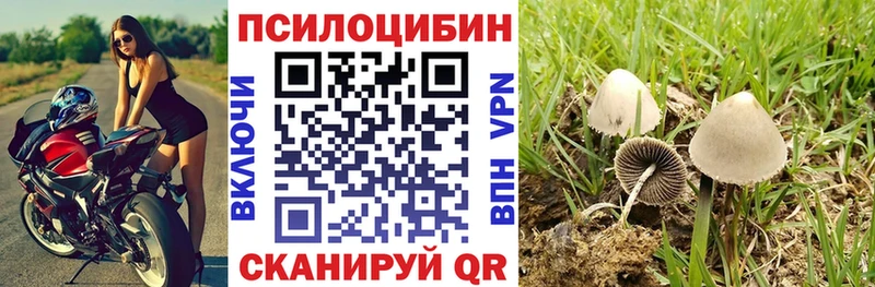 Псилоцибиновые грибы мицелий  Белореченск 